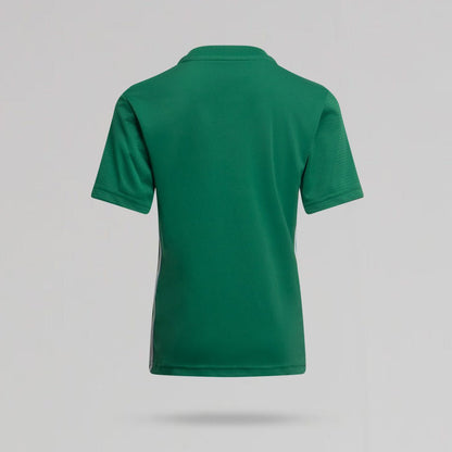 adidas Celtic 2024/25 Champions Green Jersey