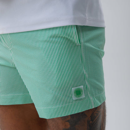 Celtic Crest Men's Stripe Green and White Swim Shorts