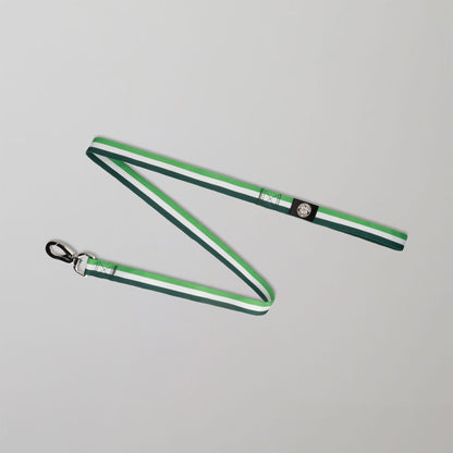 Celtic Green Stripe Dog Collar and Lead Set