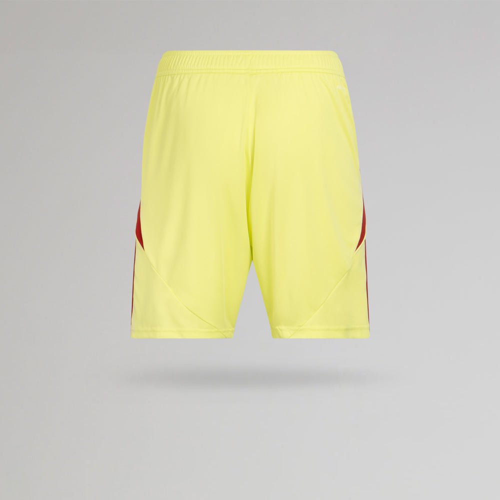 Celtic Junior 2025/26 Home Goalkeeper Shorts