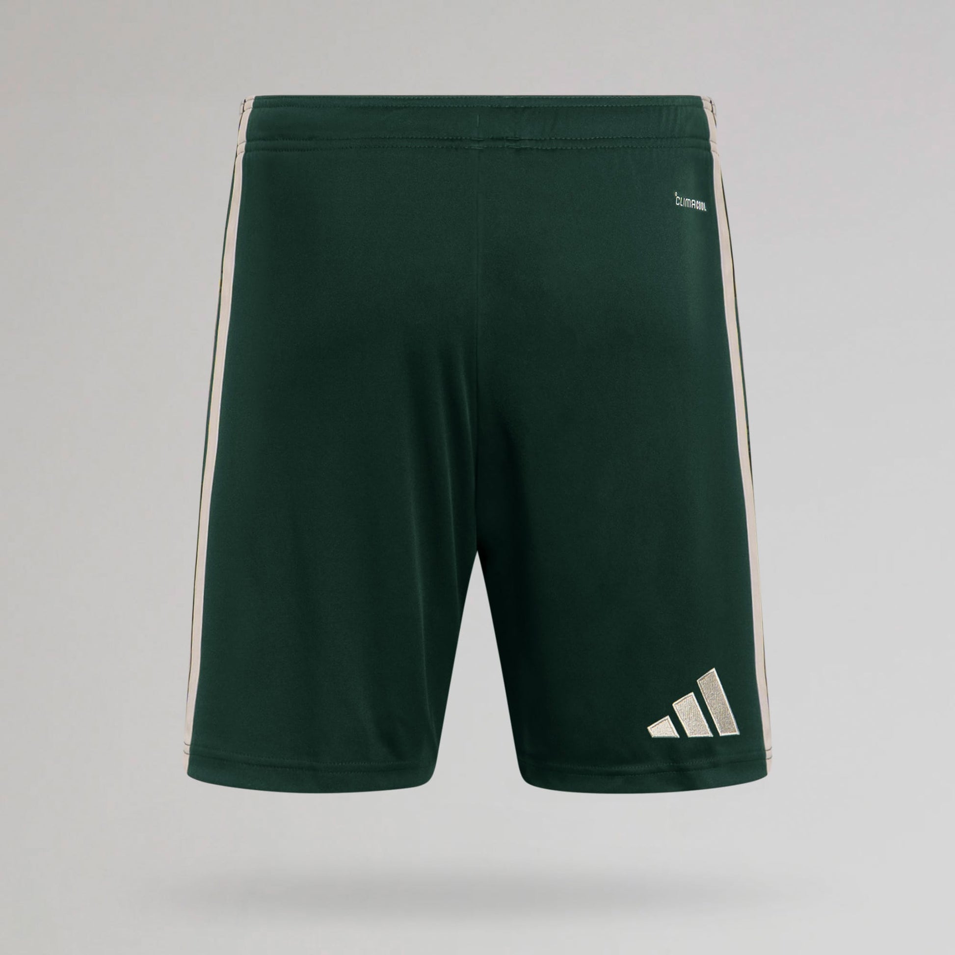 Celtic Men's 2026/27 Third Shorts