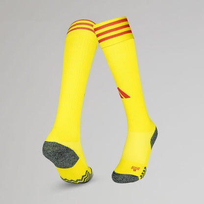 Celtic Men's 2023/24 Home Goalkeeper Socks