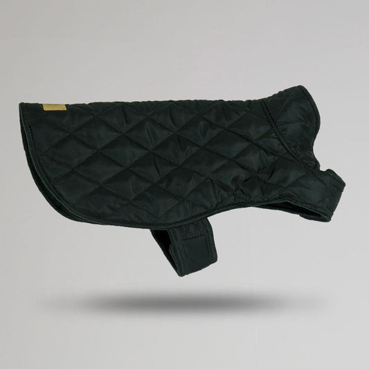 Celtic Padded Dog Jacket