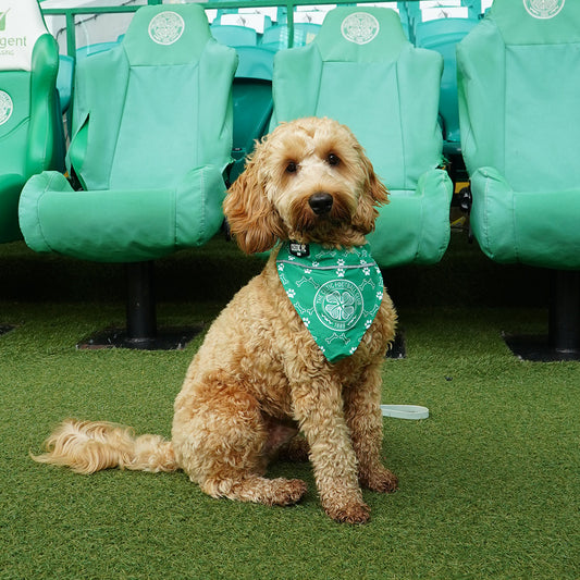 Celtic Detachable Dog Scarf