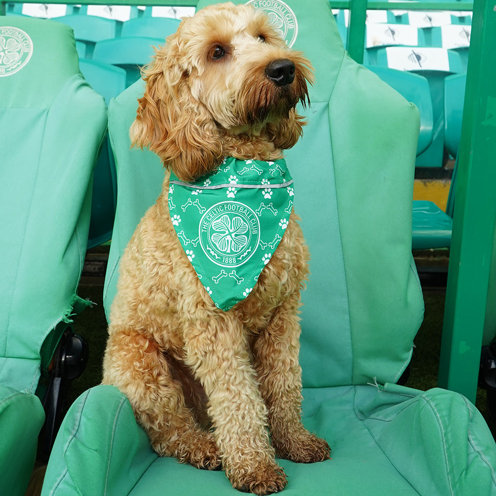 Celtic Detachable Dog Scarf