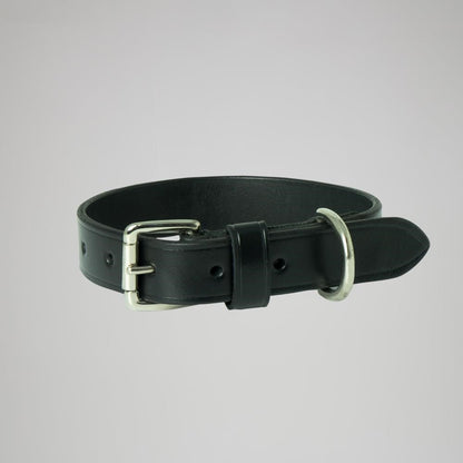 Celtic Leather Dog Collar
